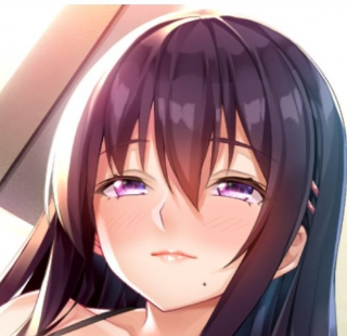 请停手吧姐姐大人完整版