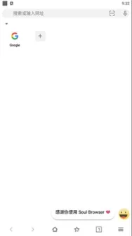 灵魂浏览器1.3.21